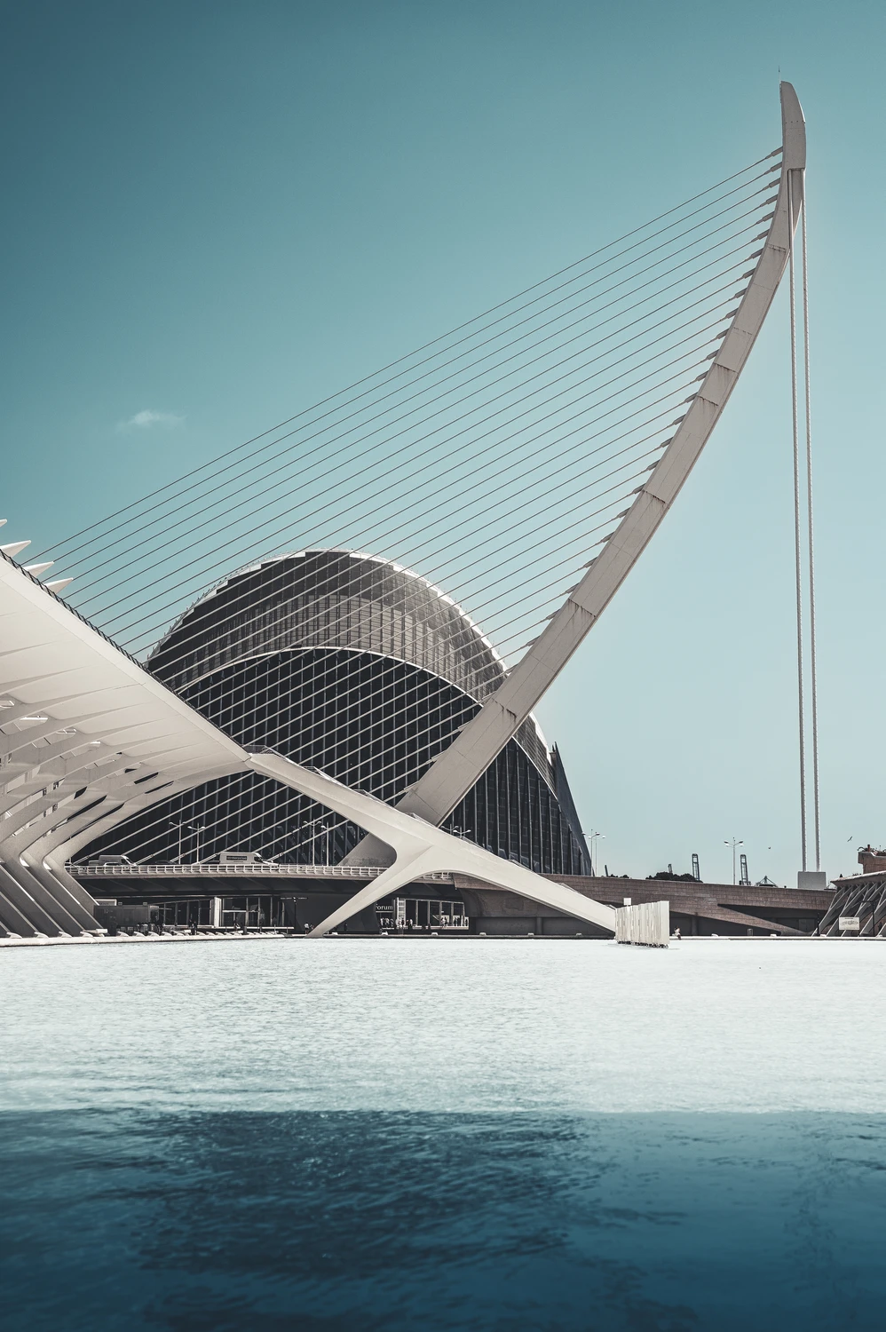 Modern architectural complex with curved white structure, contemporary design